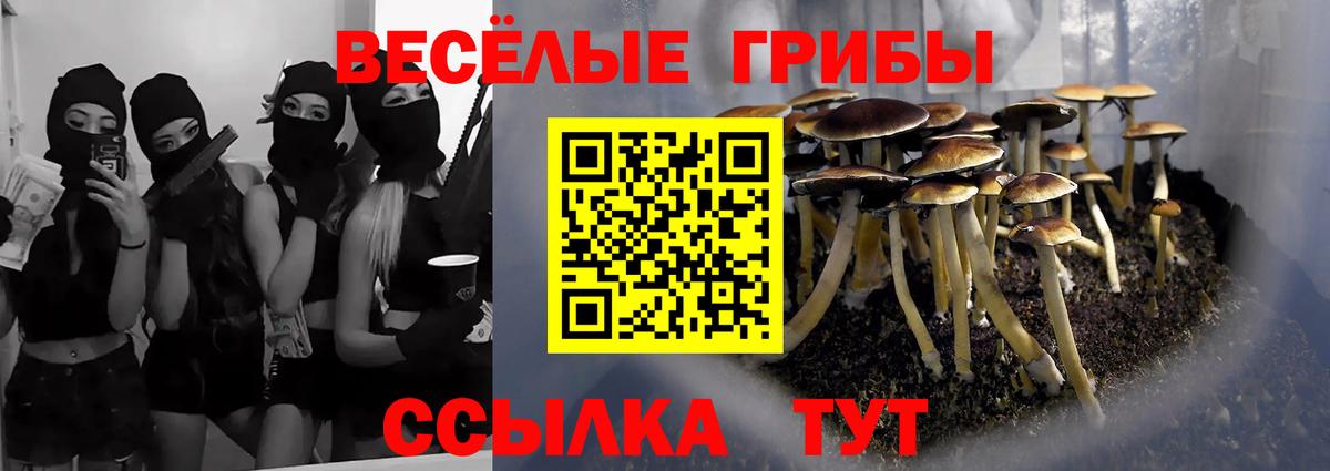 Галлюциногенные грибы прущие грибы Переславль-Залесский